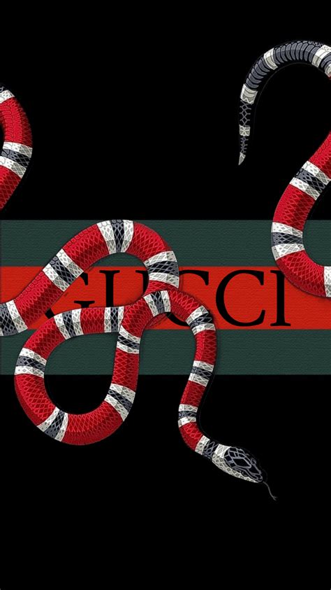 felpa gucci snake|gucci snakes for sale.